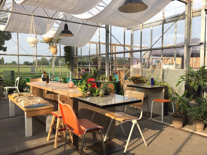 het veerkwartier haarlem