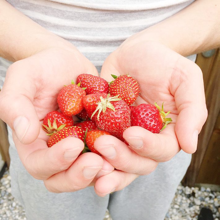 aardbeien