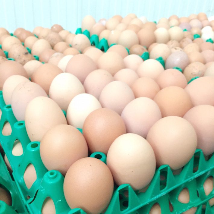 vrije uitloop eieren