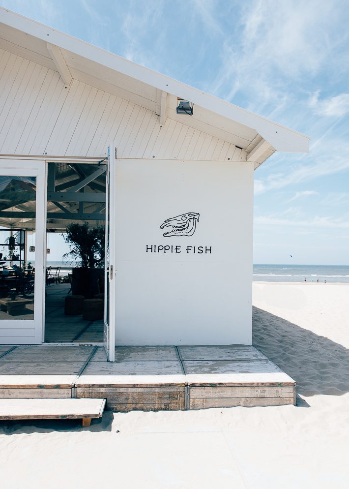 hippie fish zandvoort