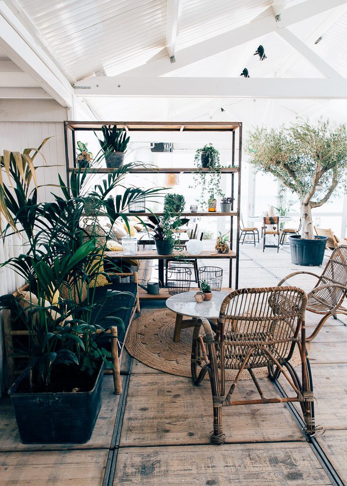 hippie fish zandvoort