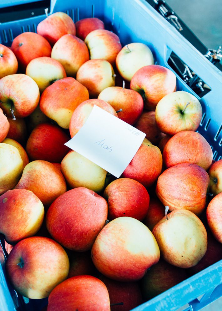 ingredient appel voor taart