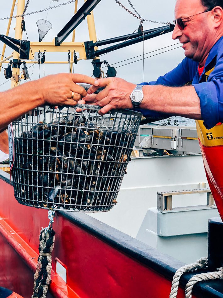 eerste mosselen van het jaar