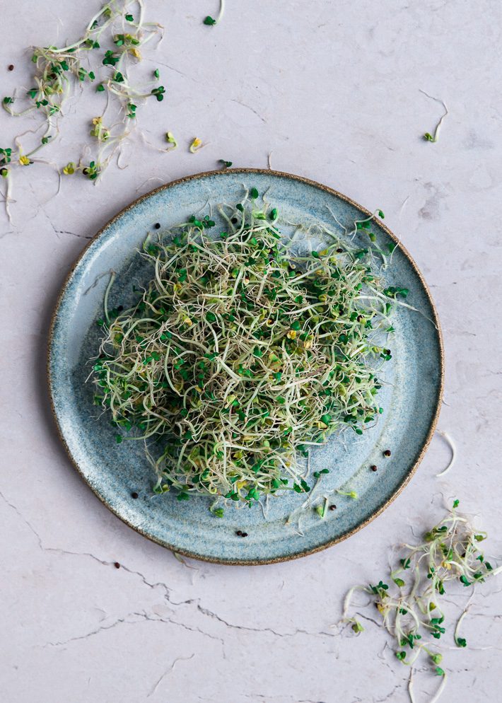 ingredienten broccolikiemen